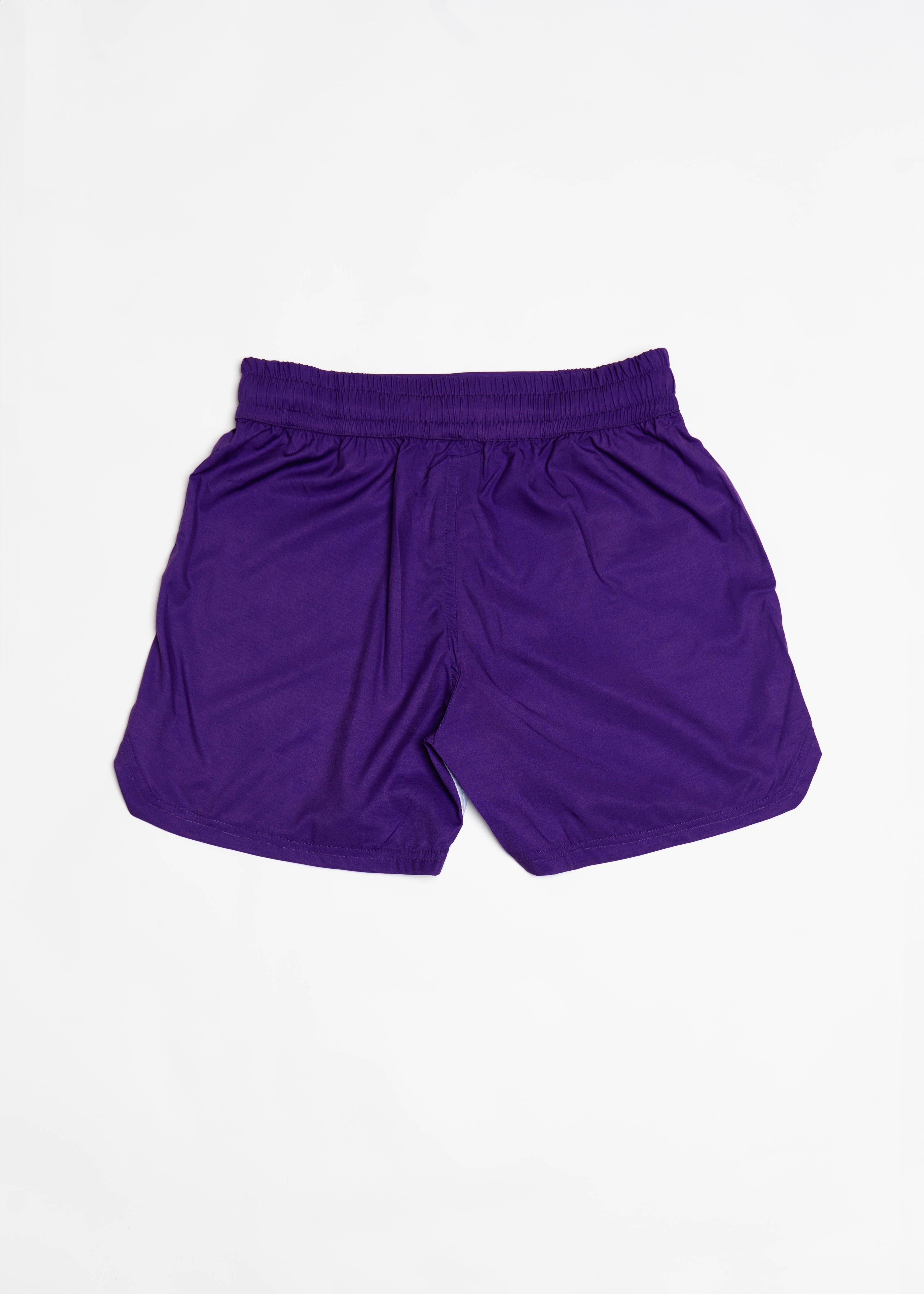 Shorts de luta classificados roxos